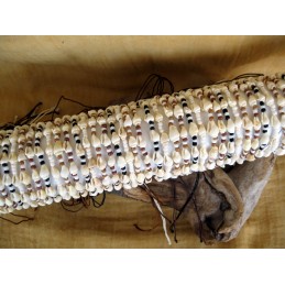 BRACCIALE CONCHIGLIA MK02